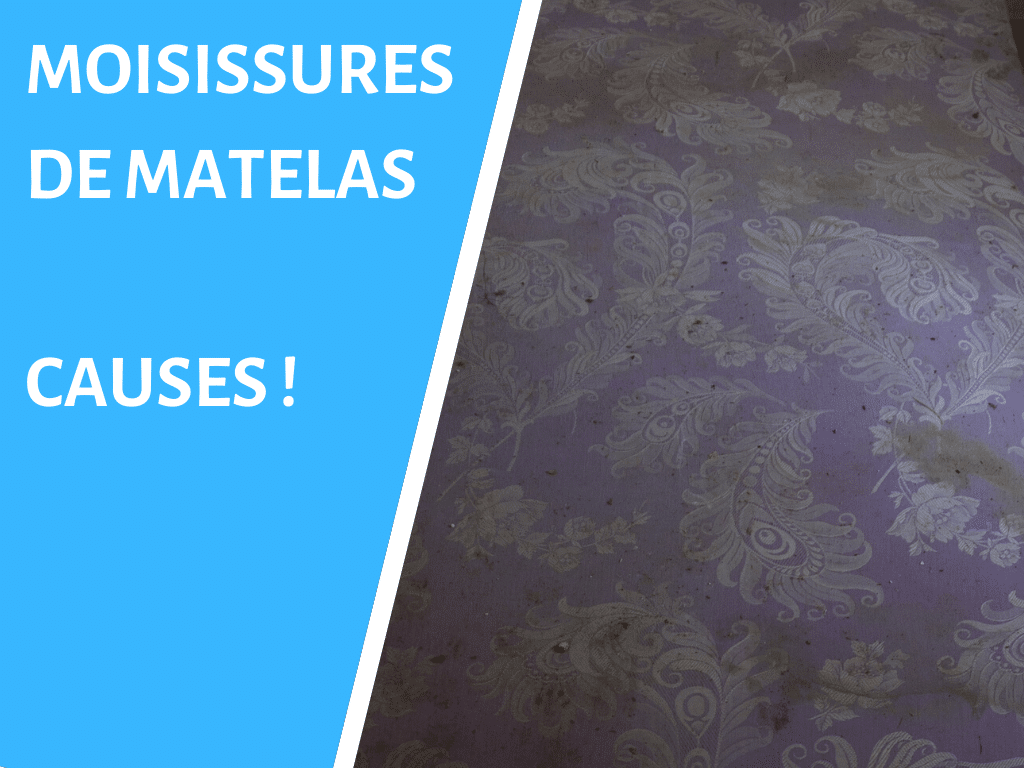 Quelles solutions contre la moisissure des matelas ?